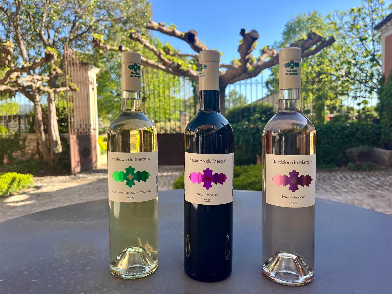 Dégustation de Vins