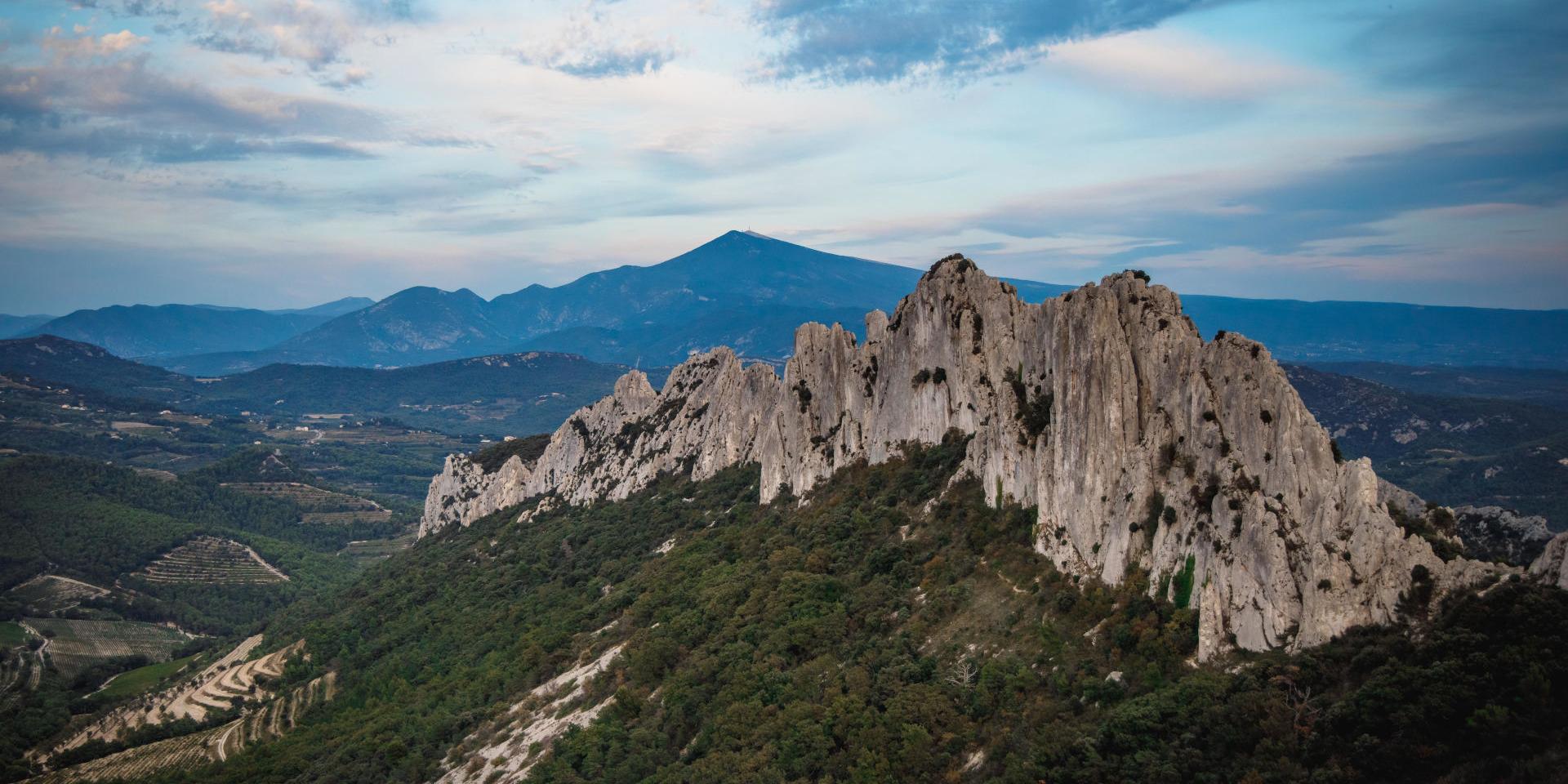 Dentelles de Montmirail